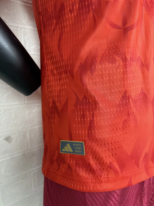 Belgium World Cup 2026 Jersey - Player Version