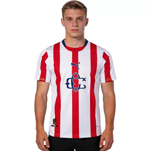 Herren-Trikot