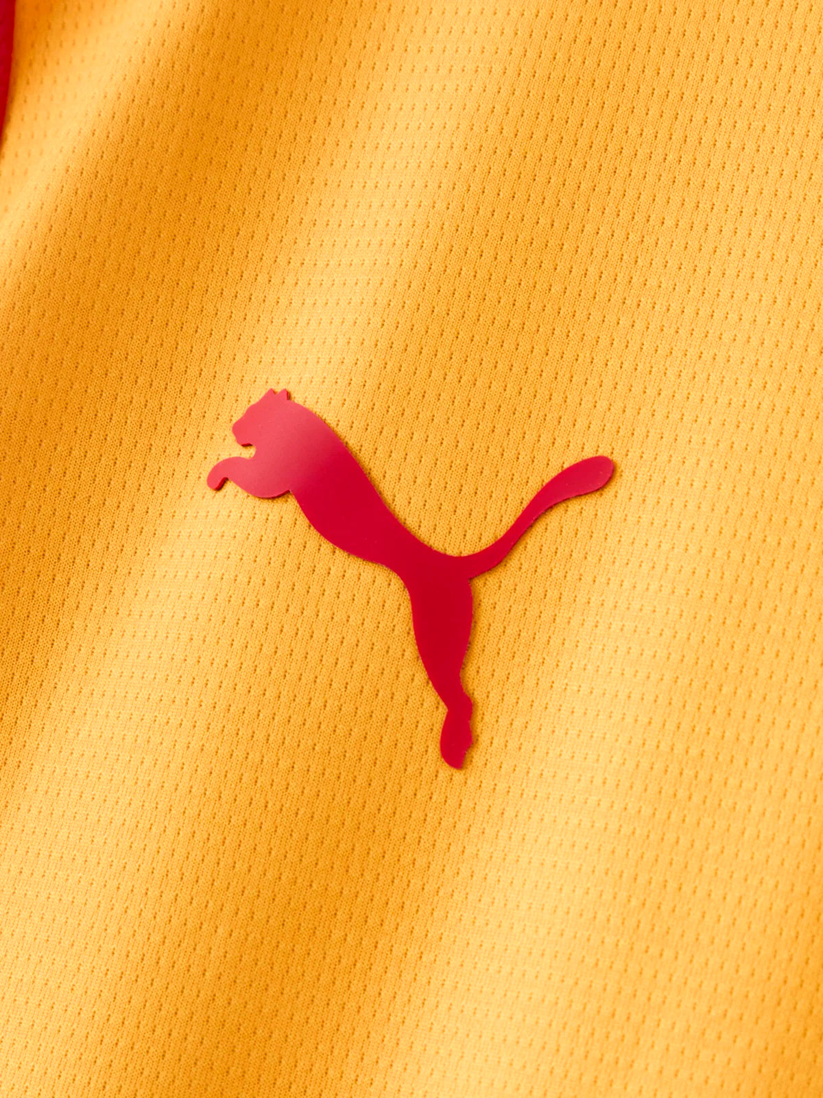 Home 26/27 Men's Player Jersey