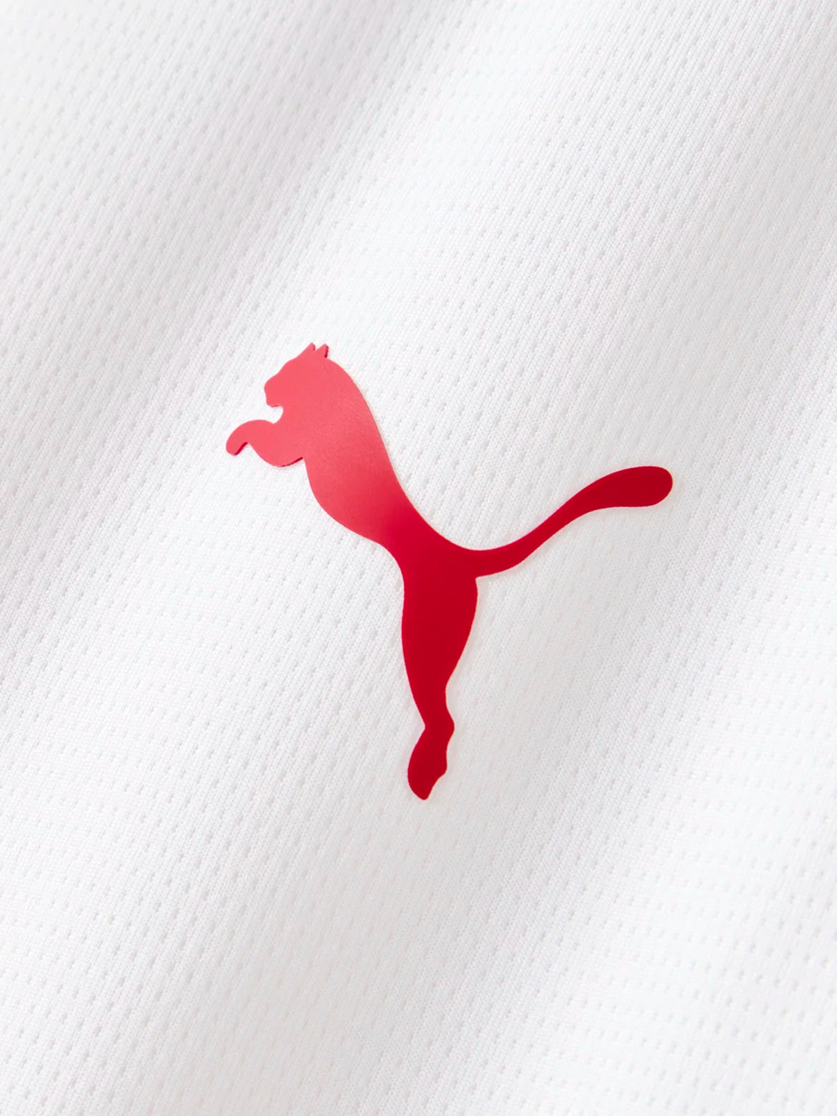 Third 26/27 Men's Jersey