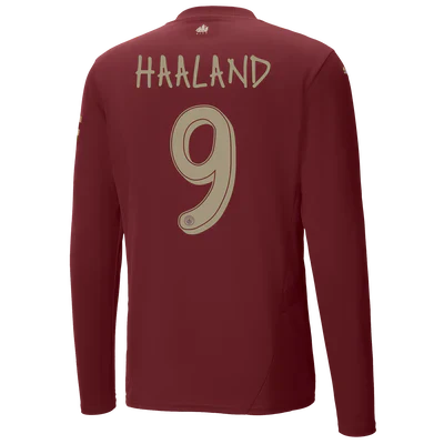 Drittes Langarmtrikot Herren 24/25