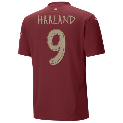 Drittes Herren-Trikot 24/25