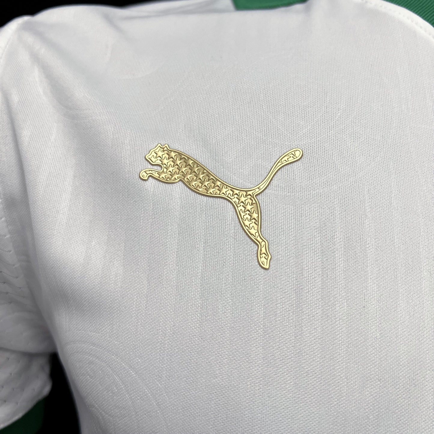 Away 24/25 Men's Player Jersey