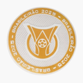 Brasileirão 2025