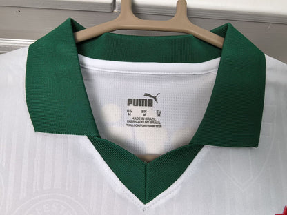 Away 24/25 Men's Jersey