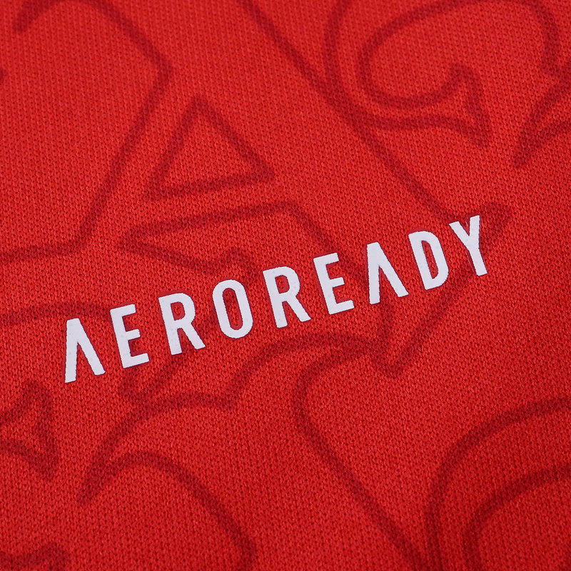 Arsenal Home Jersey 2025/26