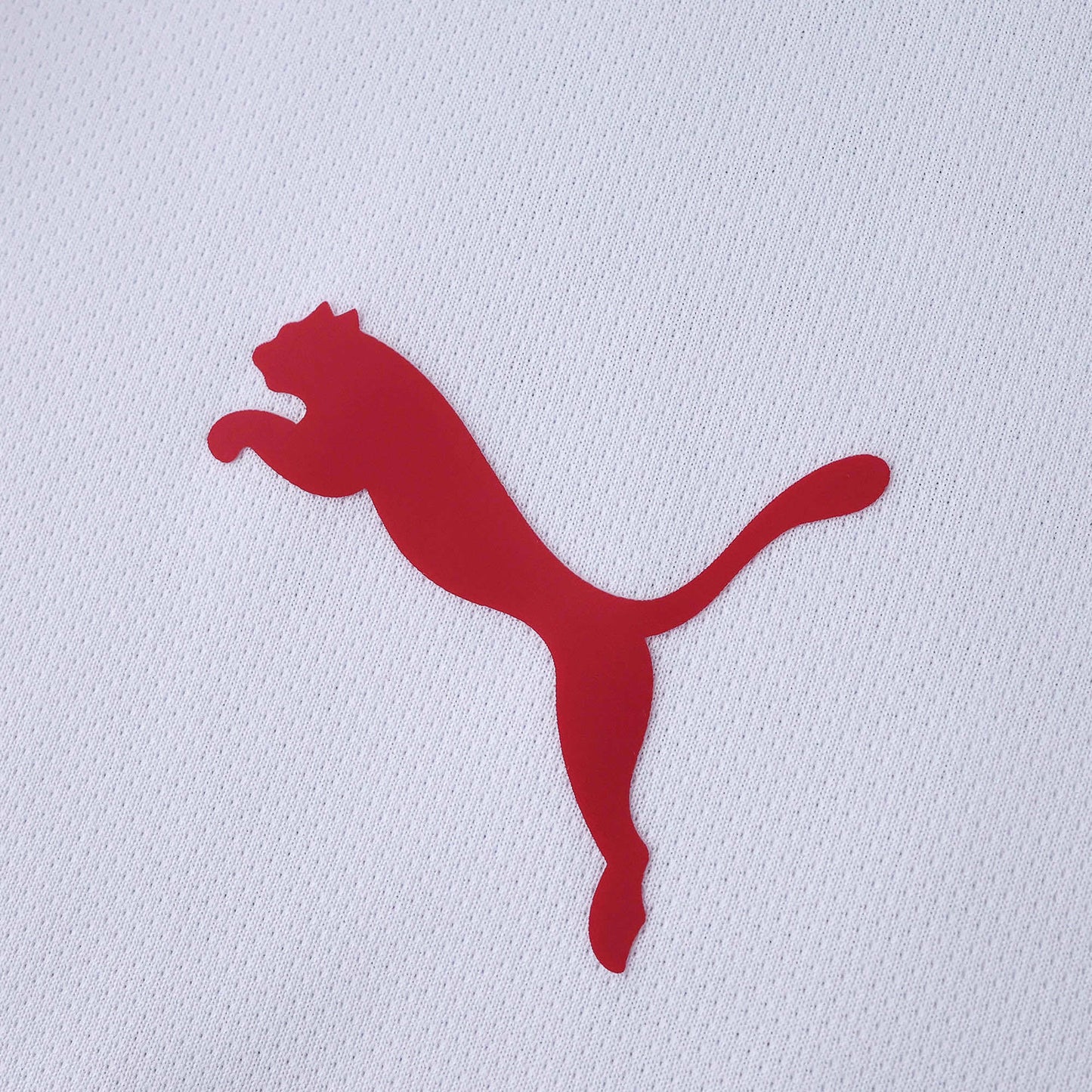 Jersey 25/26 Men's