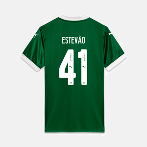 Trikot 25/26 Herren