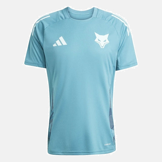 Herren-Fantrikot Training 25/26