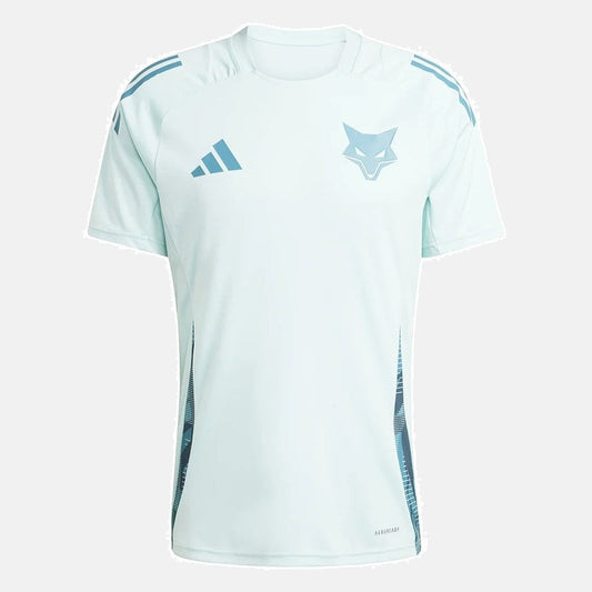 Herren-Fantrikot Training 25/26