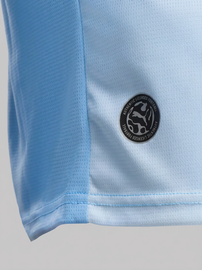 Away 26/27 Men's Fan Jersey