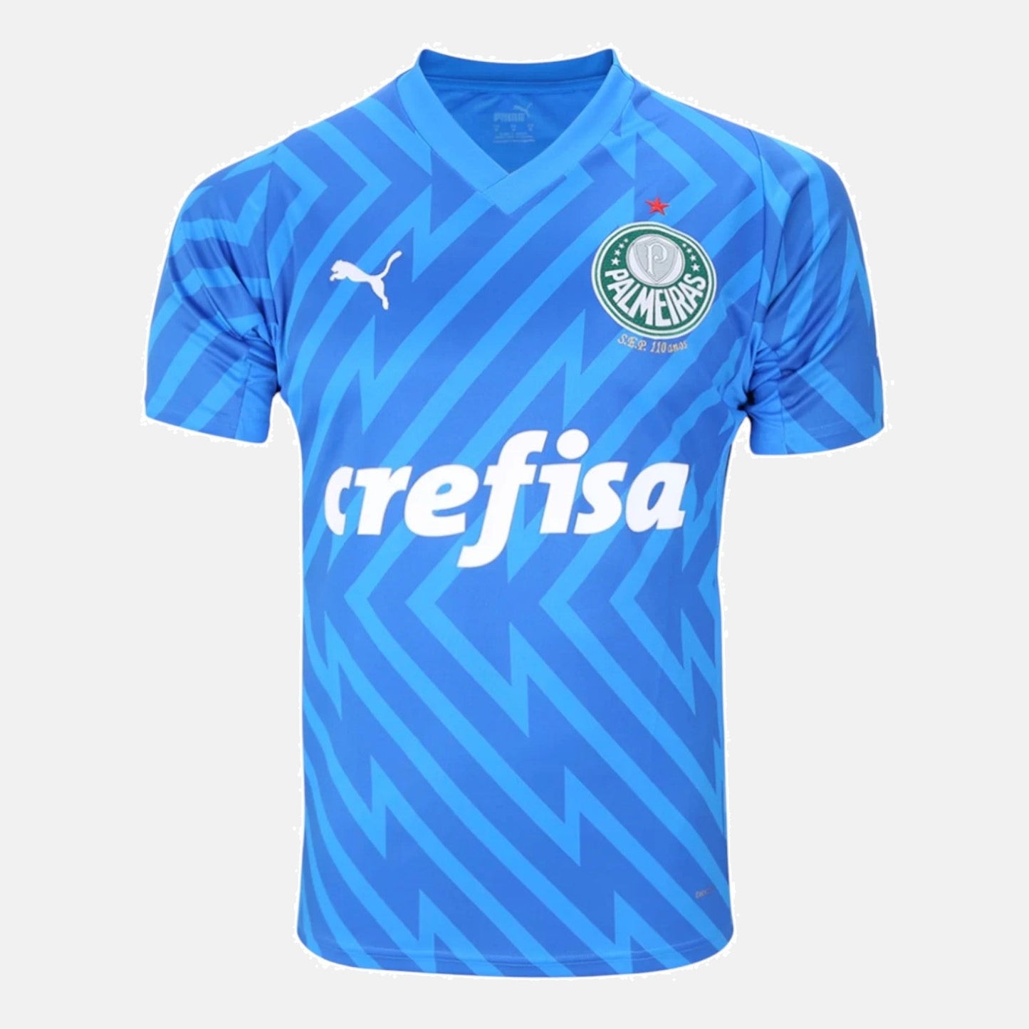 Goalkeeper 24/25 Men's Jersey