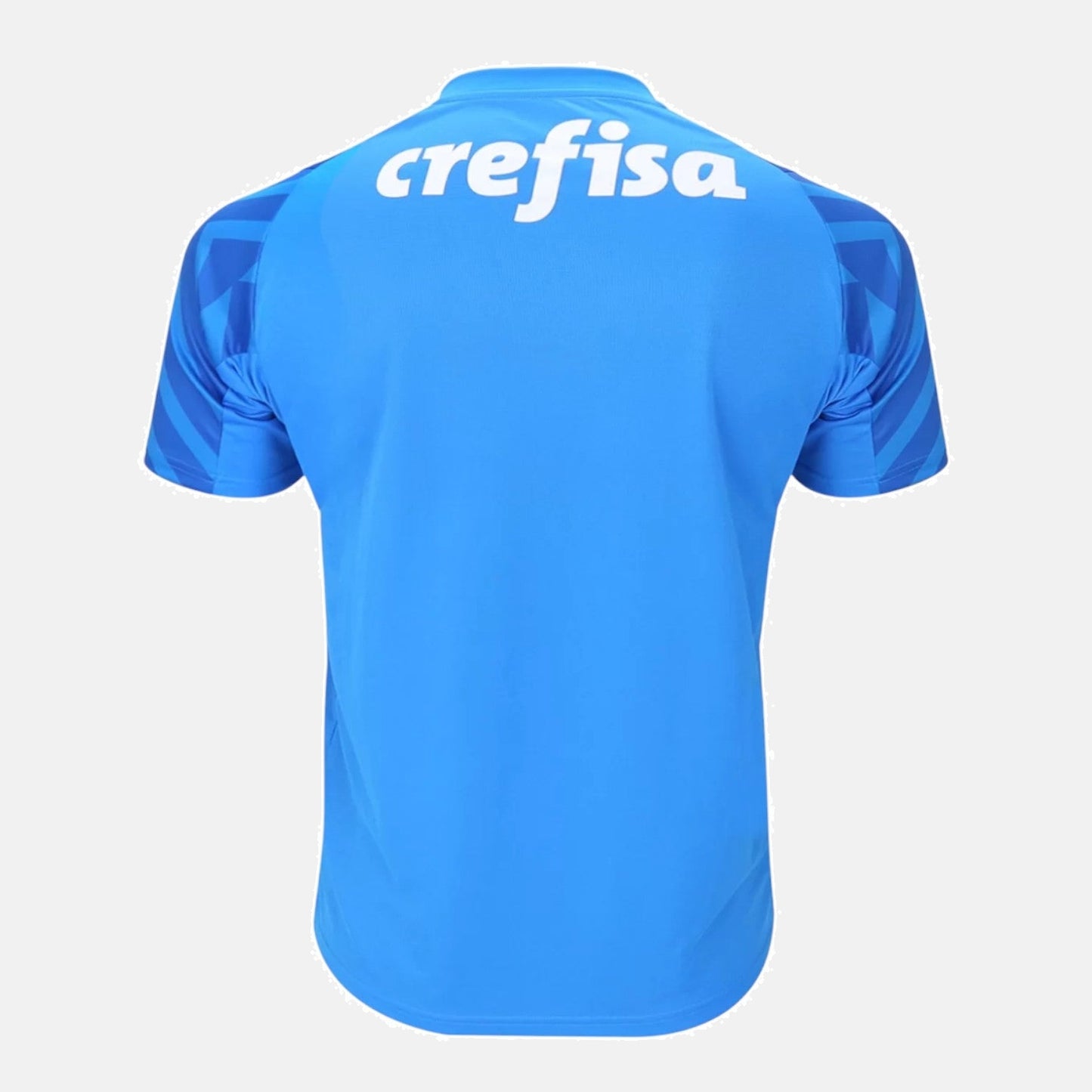 Goalkeeper 24/25 Men's Jersey